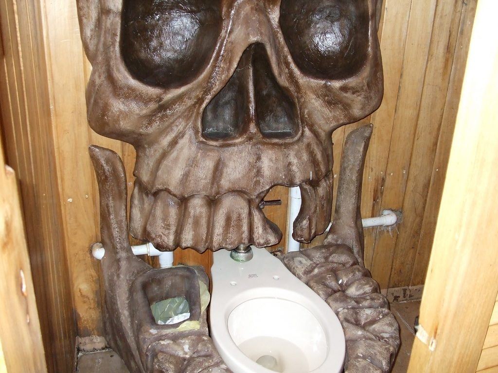 world's wackiest toilets