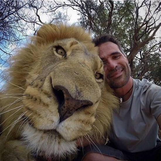 funniest animal selfie