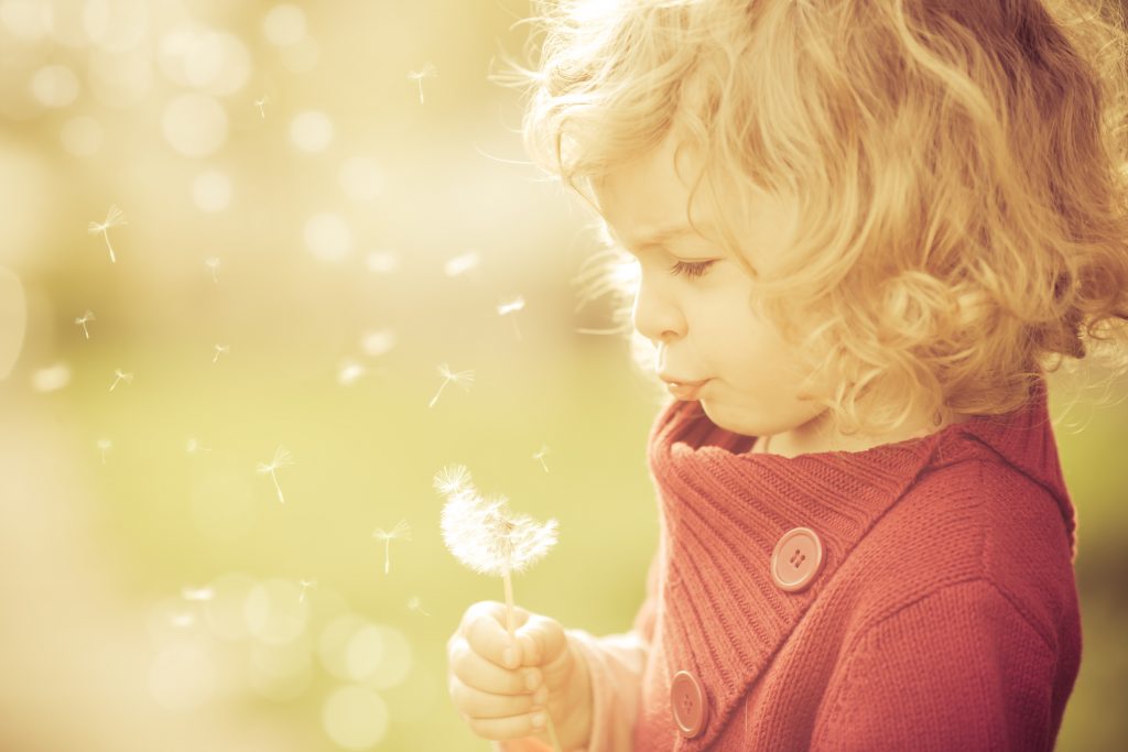 Beautiful Child Blowing Dandelion