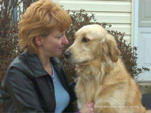 Toby the Golden Retriever