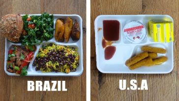 School Lunches from Around the World Make American Students Want to Study Abroad