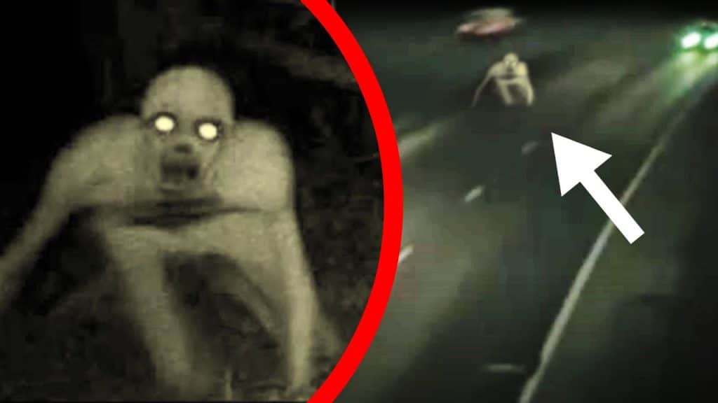 Top 5 Scariest Creatures Spotted IN REAL LIFE! Brilliant News